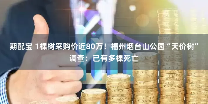 期配宝 1棵树采购价近80万！福州烟台山公园“天价树”调查：已有多棵死亡