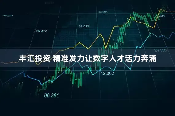 丰汇投资 精准发力让数字人才活力奔涌