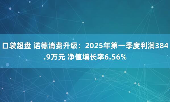 口袋超盘 诺德消费升级：2025年第一季度利润384.9万元 净值增长率6.56%