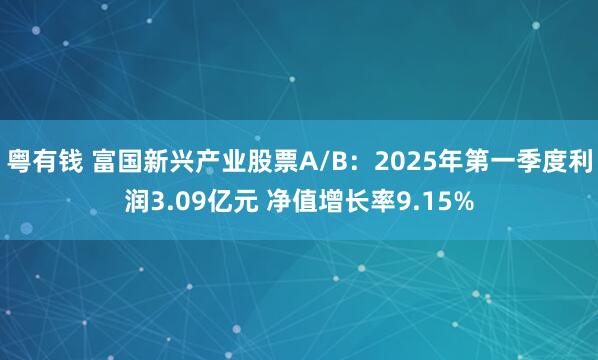 粤有钱 富国新兴产业股票A/B:2025年第一季度利润3.09亿元 净值增长率9.15%